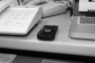 开云体育平台-技术数据揭示冠军转身平均仅0.65秒，冠军转盘